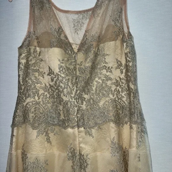 Kay Unger Champagne Lace Dress - Picture 4 of 5